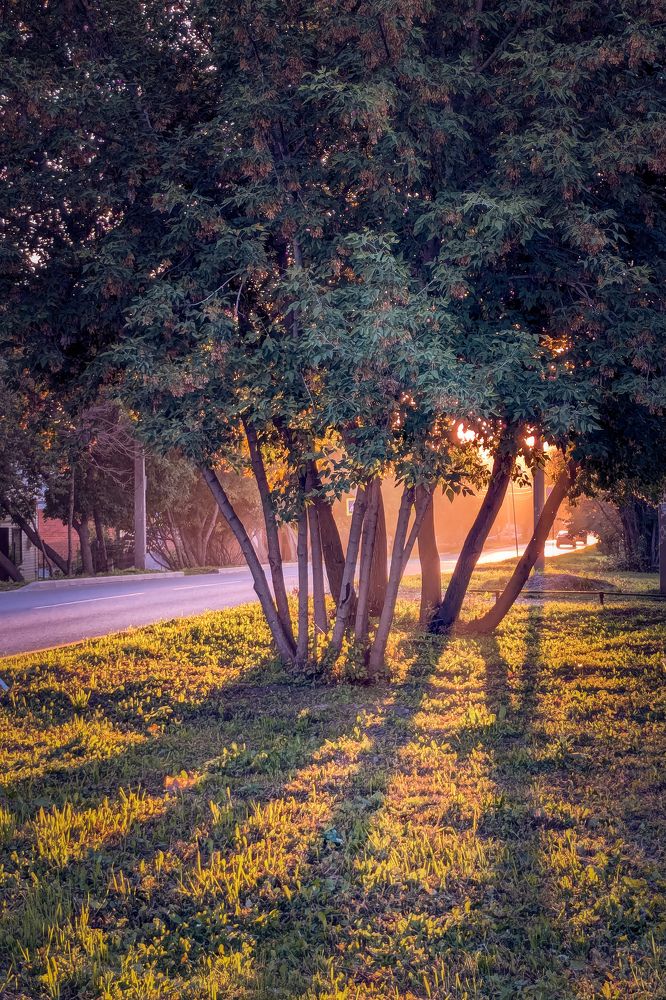 Photograph by Вадим Баталов