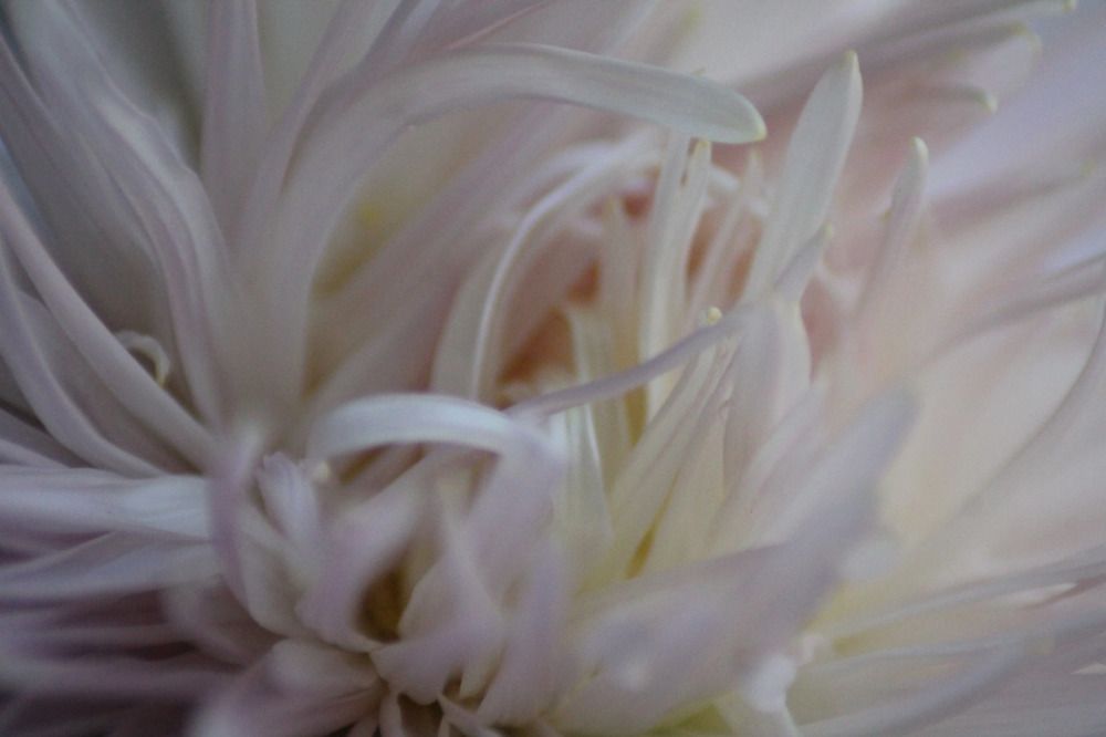 Photograph by Екатерина Филина