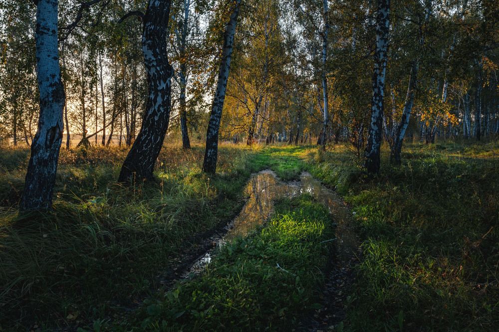 Photograph by Павел Гавриков