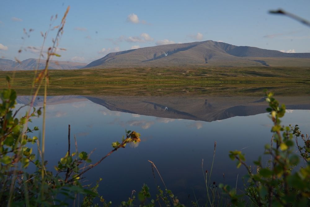 Photograph by Шашков Алексей