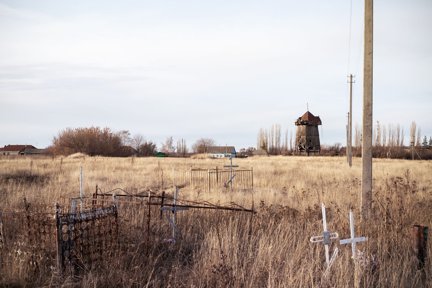 Photo #11051720