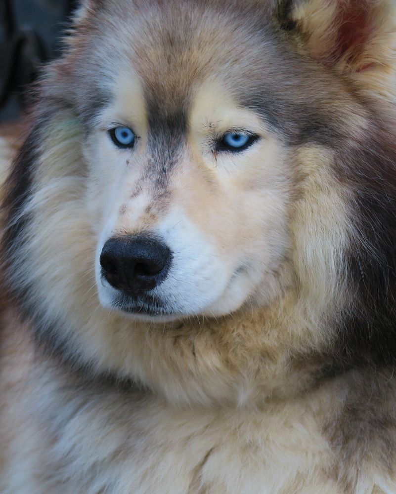 Photograph by Орл Про