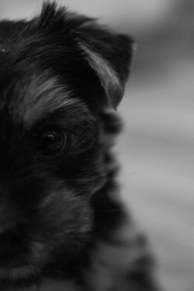 Photograph by Александр Коковихин