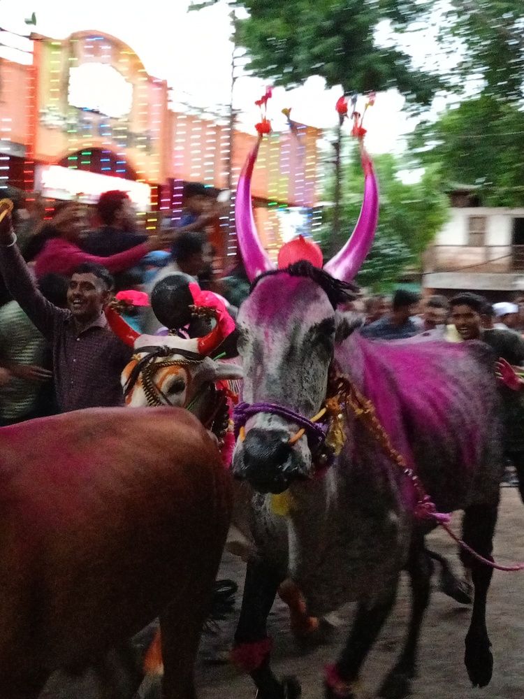 Photograph by Suyog पाटील