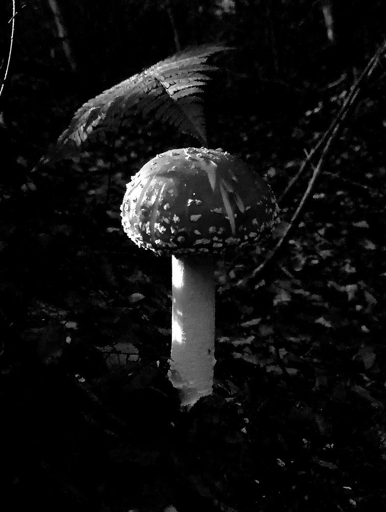 Photograph by Елена Казакова