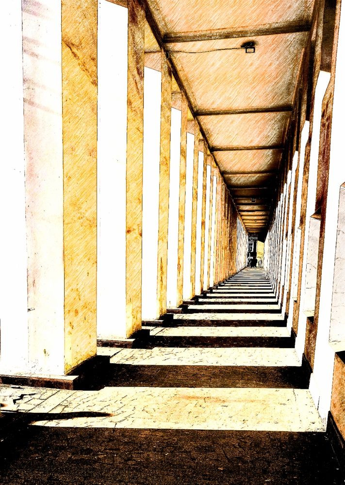 Photograph by Шиндяпин Василий