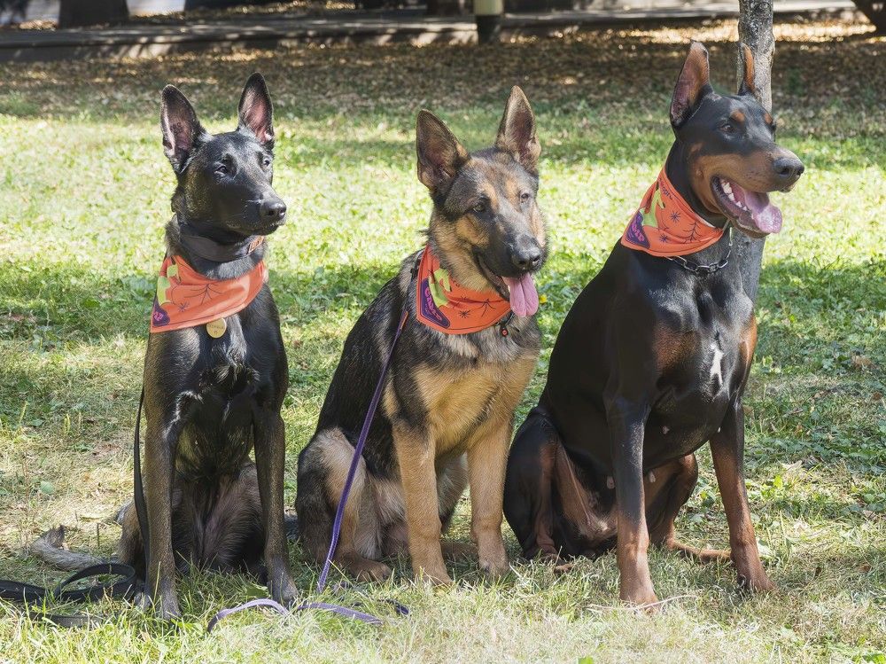 Photograph by Борис Полтавец