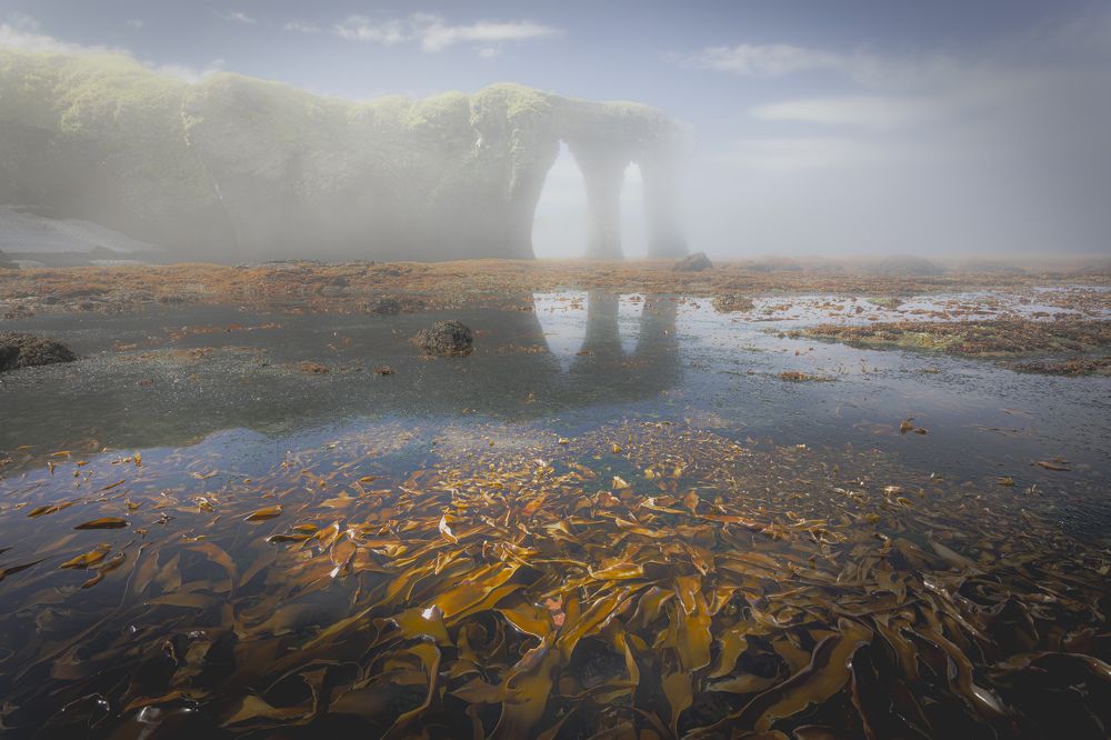 Фотография автора Лаврентьев Александр