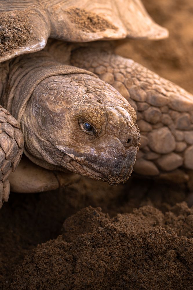 Photograph by Ирина Подгорная