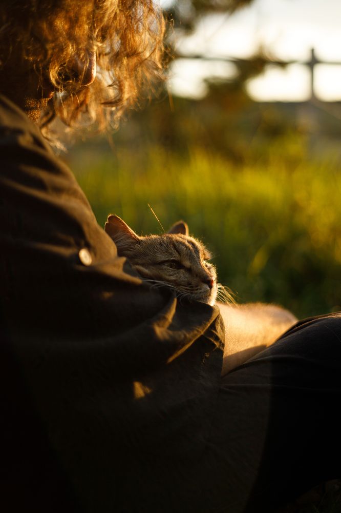 Photograph by Екатерина Мелихова