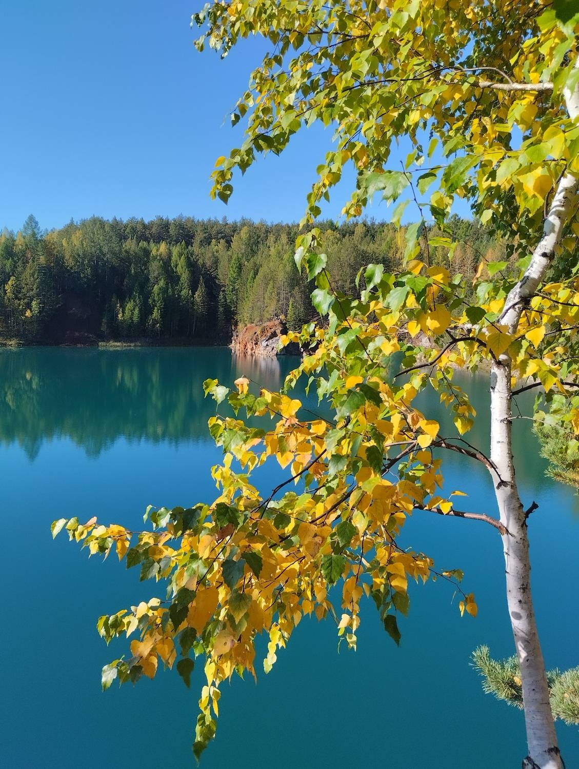 Photo #11052270