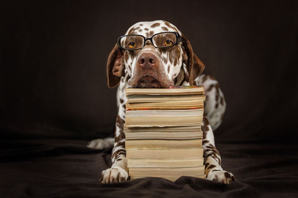 Photograph by Яна Нарбутович