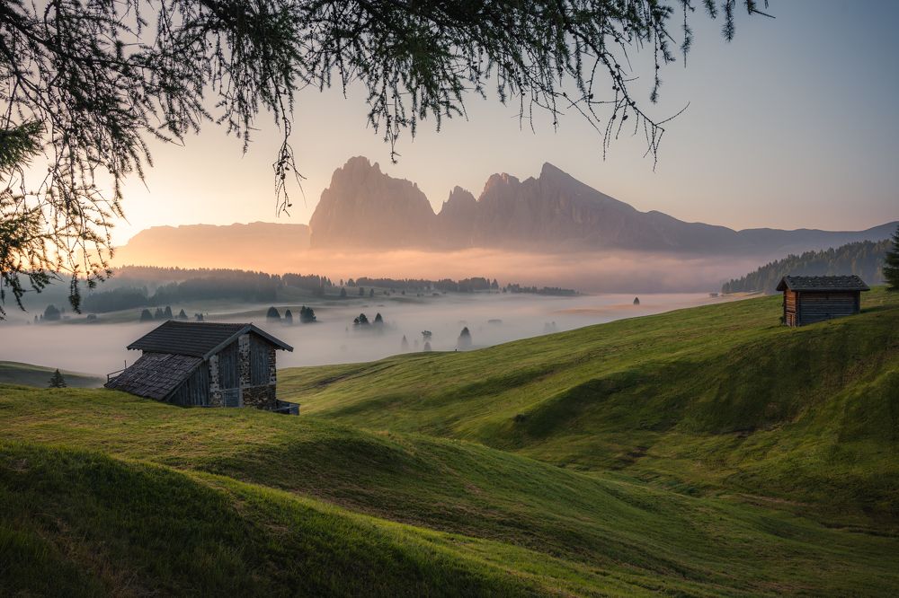 Photograph by David Jeřábek