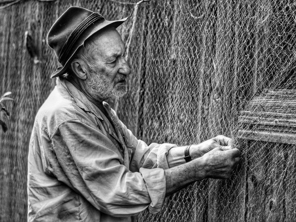 Photograph by Angelica Medvedeva