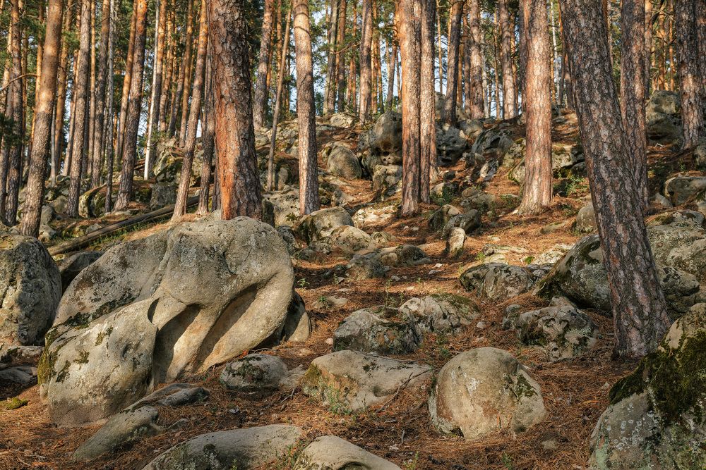 Photograph by Олег Титкин