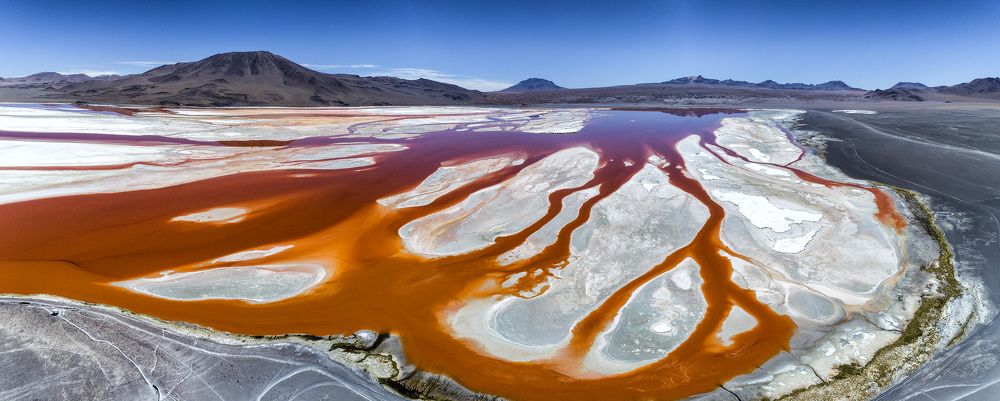 Photograph by Alex Mimo