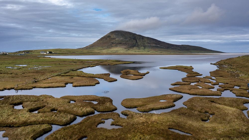 Photograph by Alex Mimo