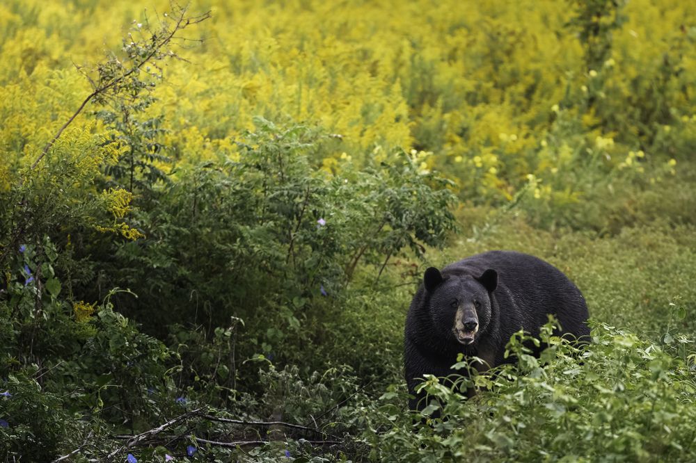 Photograph by Miller Dave