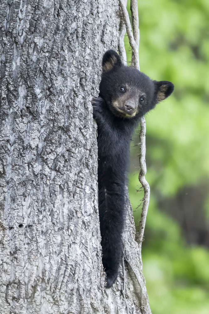 Photograph by Miller Dave