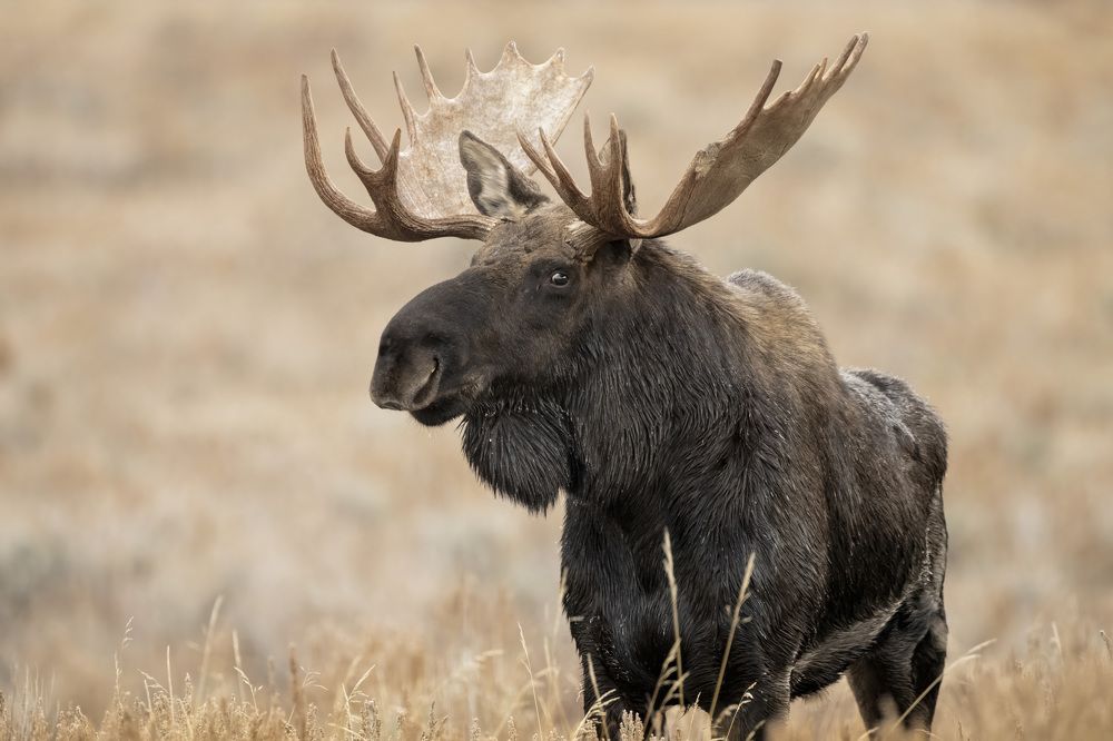 Photograph by Miller Dave