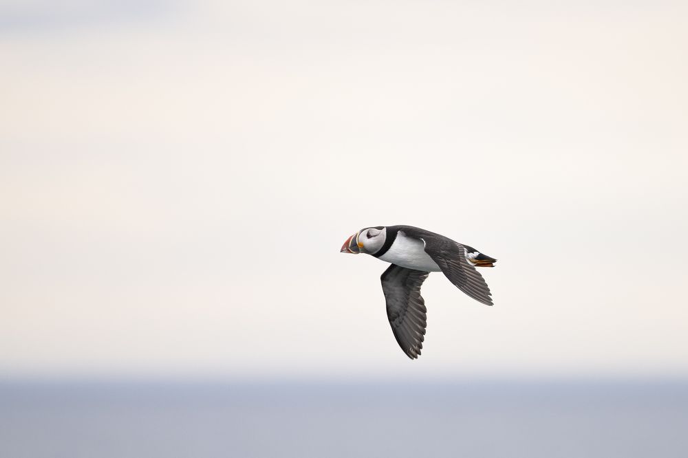 Photograph by Miller Dave