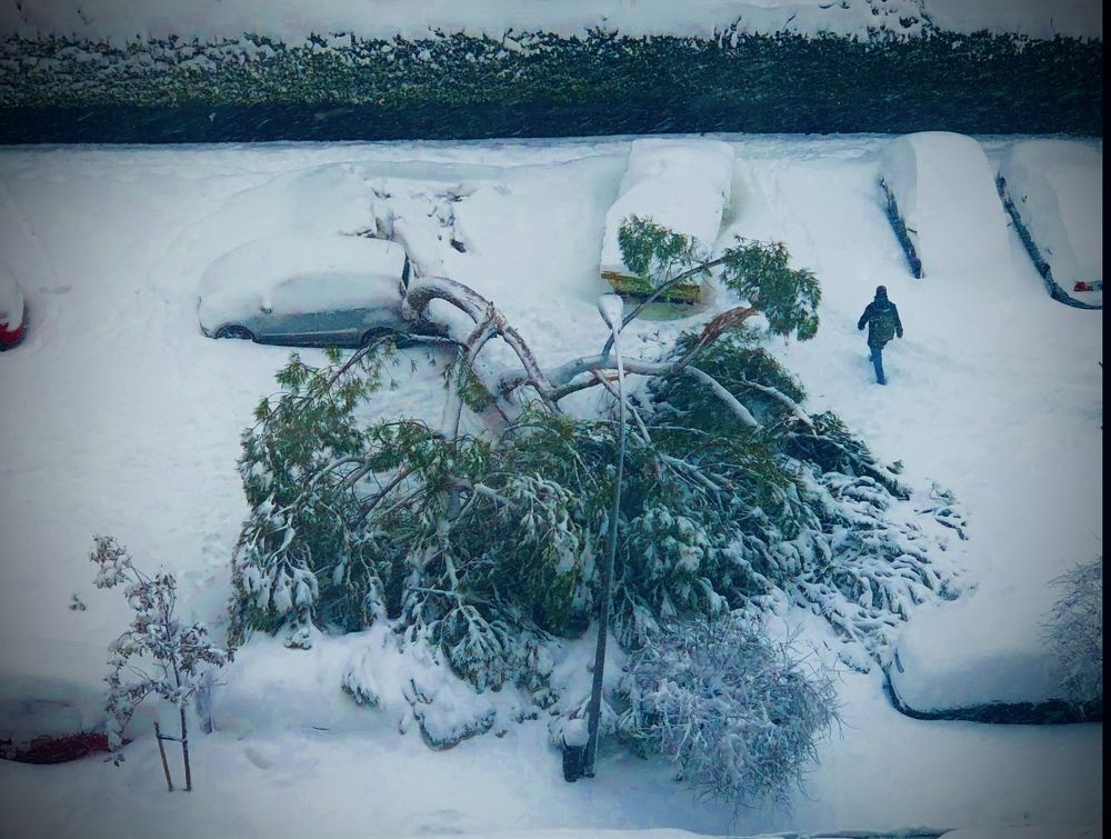 Photograph by Javier Subiza Garrido-Lestache