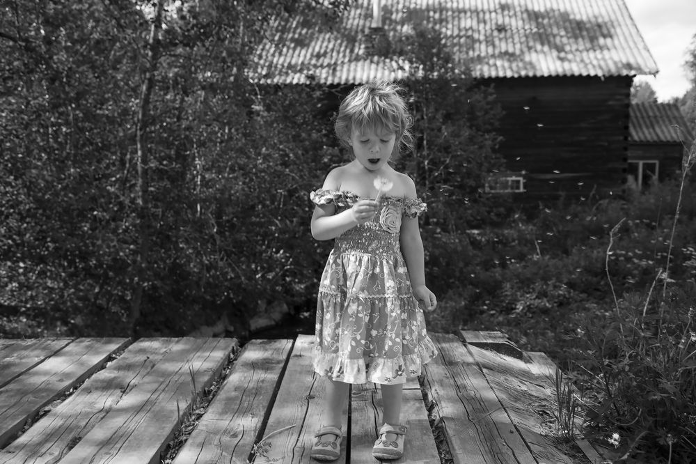 Фотография автора Ольга Виноградова