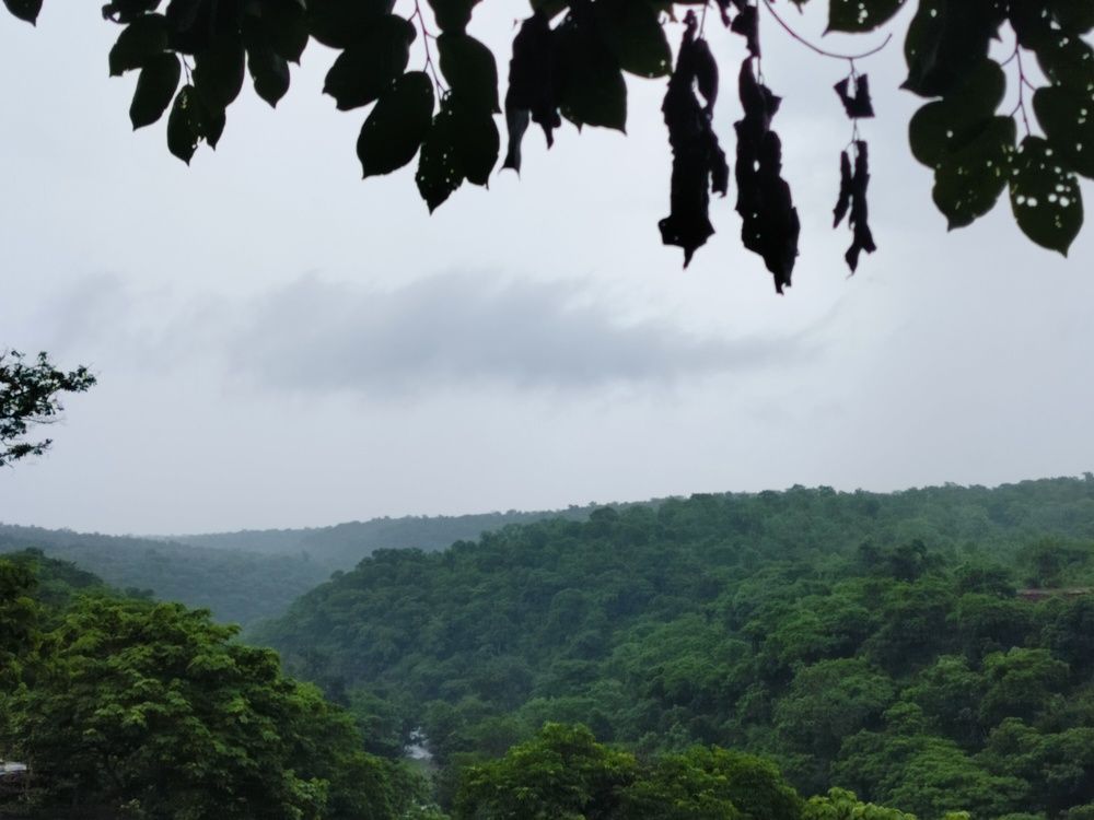 Photo #11052738