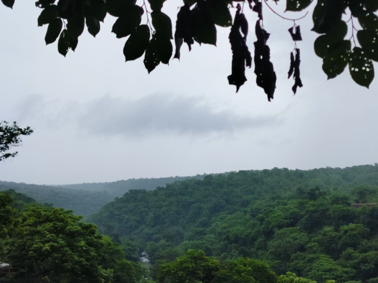 Photo #11052738