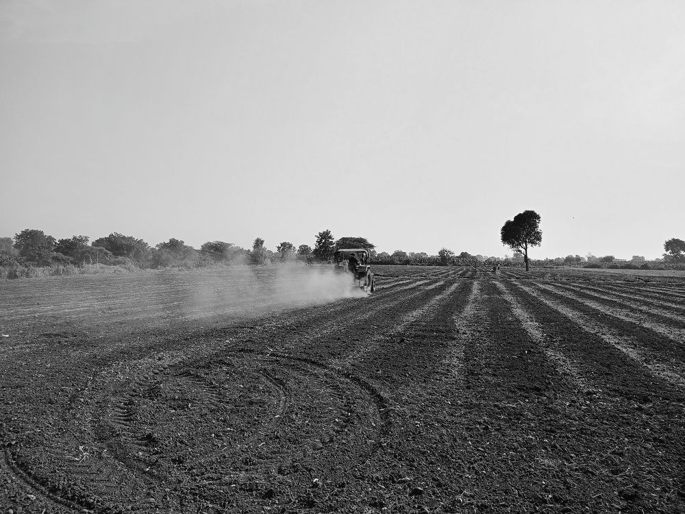 Photo #11052821
