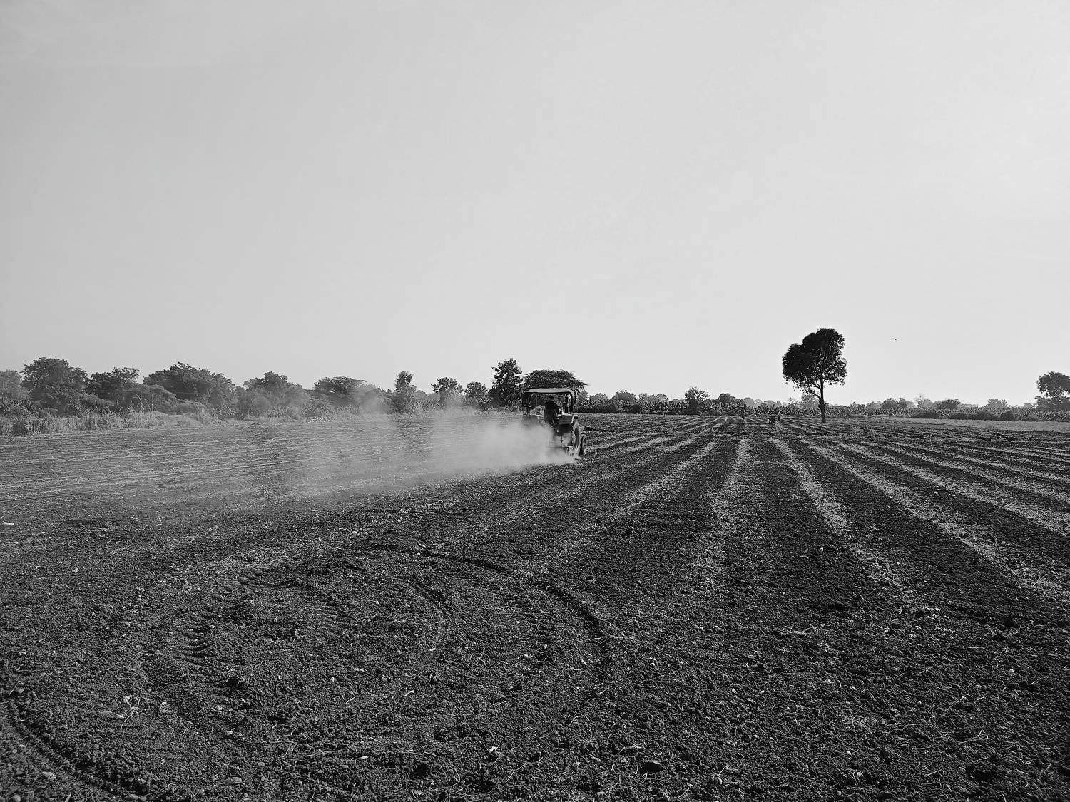 Photo #11052821
