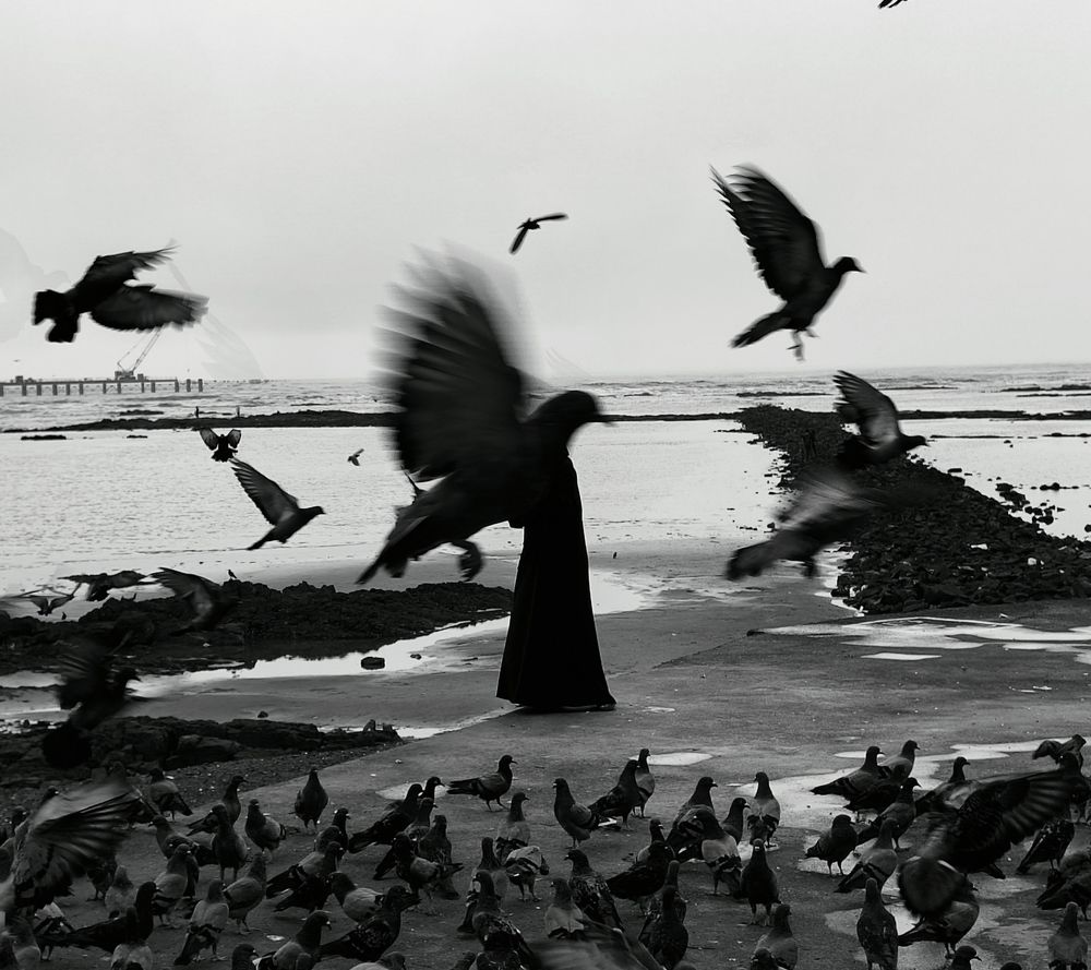 Фотография автора Brandon pinto