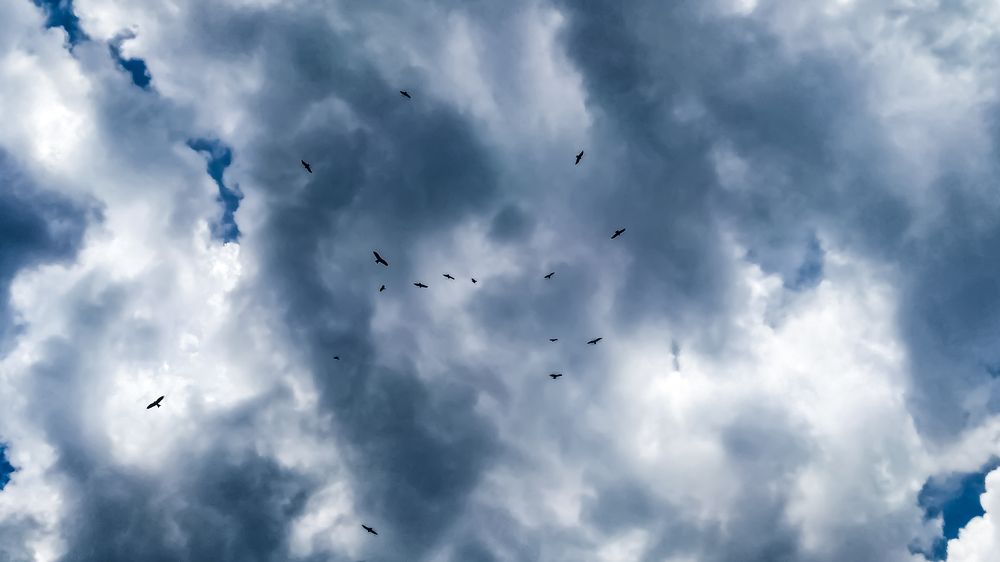 Photograph by Af Naf Shahriar