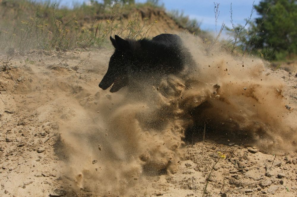 Фотография автора Надежда Лисицына