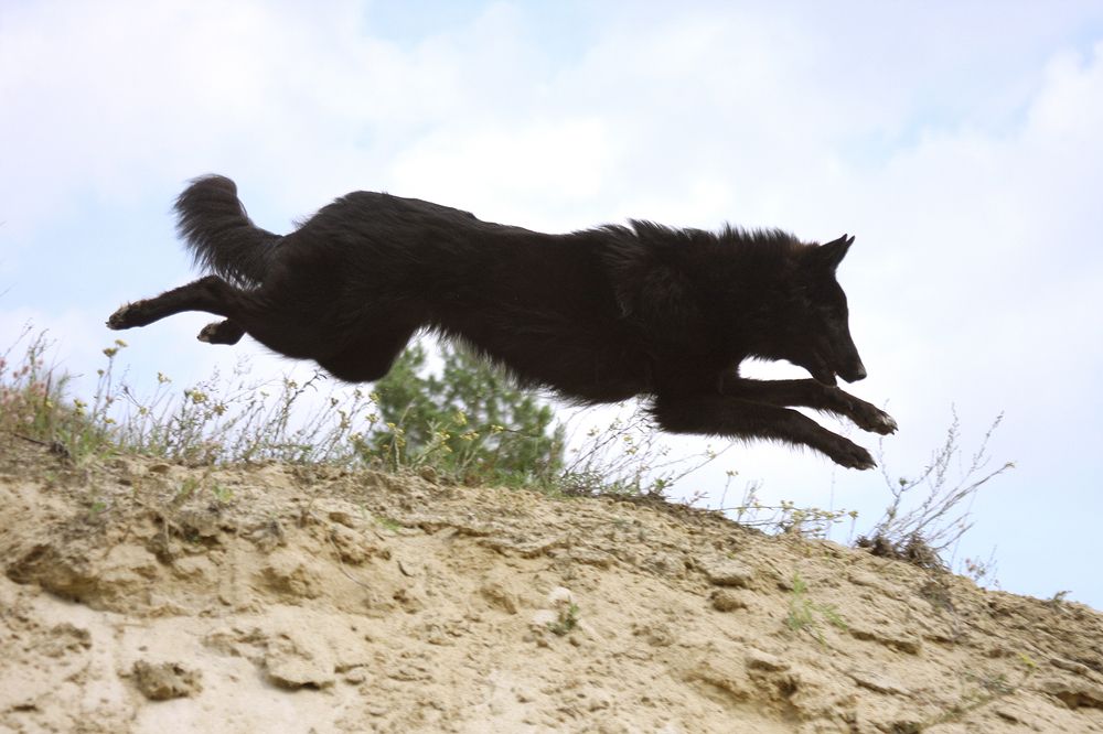 Фотография автора Надежда Лисицына