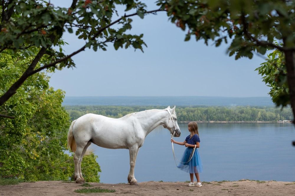 Фотография автора Елена Гордиевская