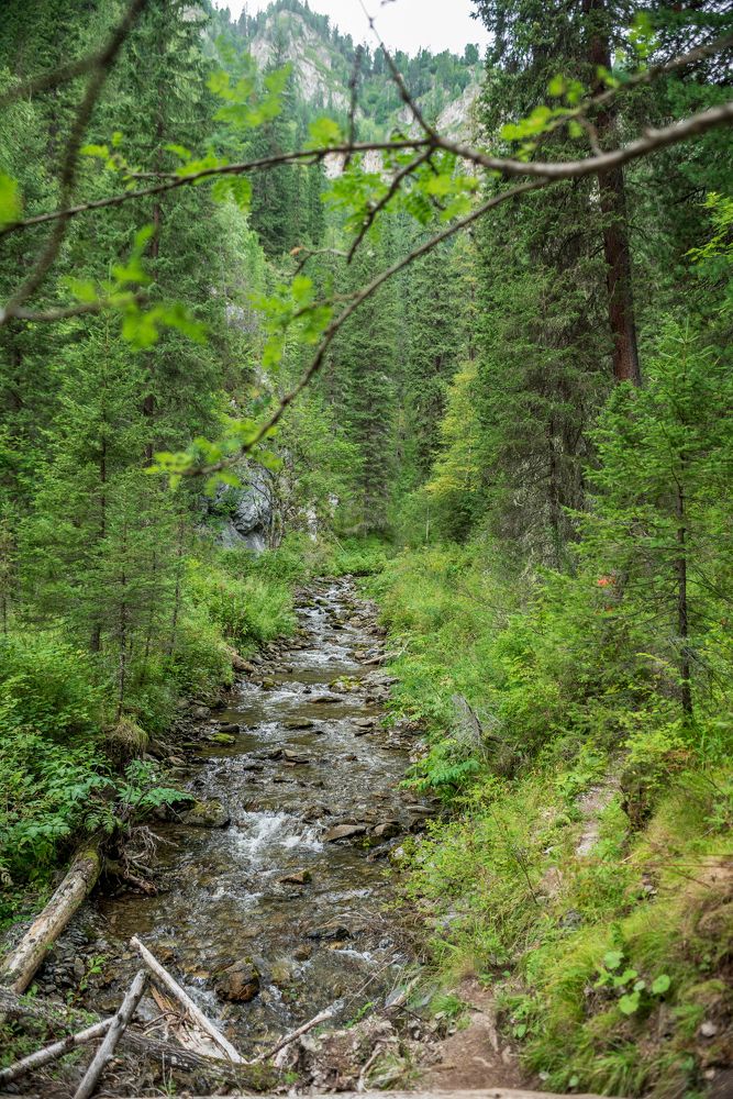 Photograph by Михаил Соколов