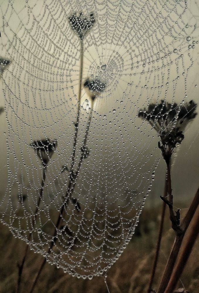 Photograph by Ольга Мартьянова