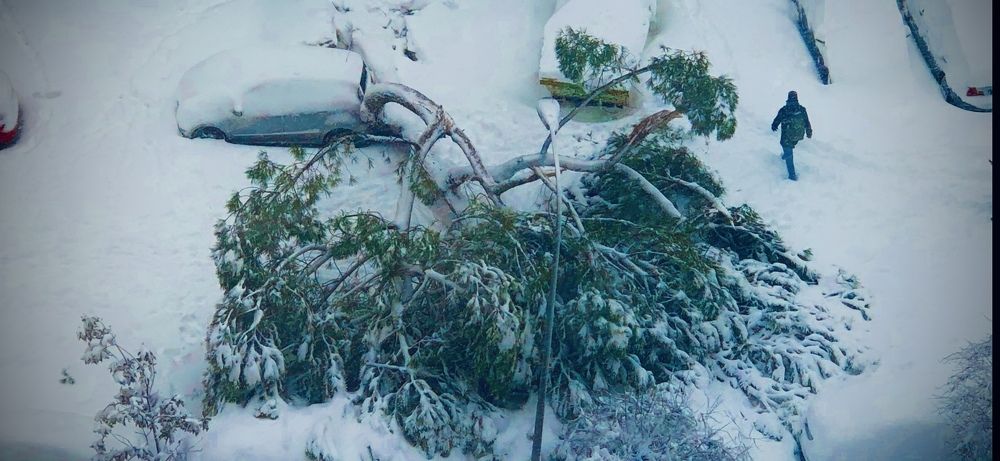 Photograph by Javier Subiza Garrido-Lestache