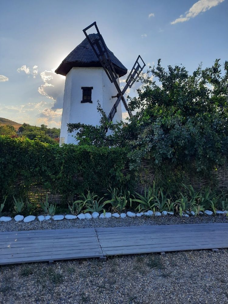 Photograph by Юлия Меркулова