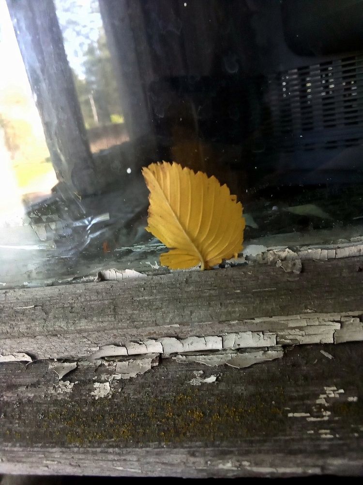 Фотография автора Вера,  Саша  Натан Фотогруппа ВЕСНА