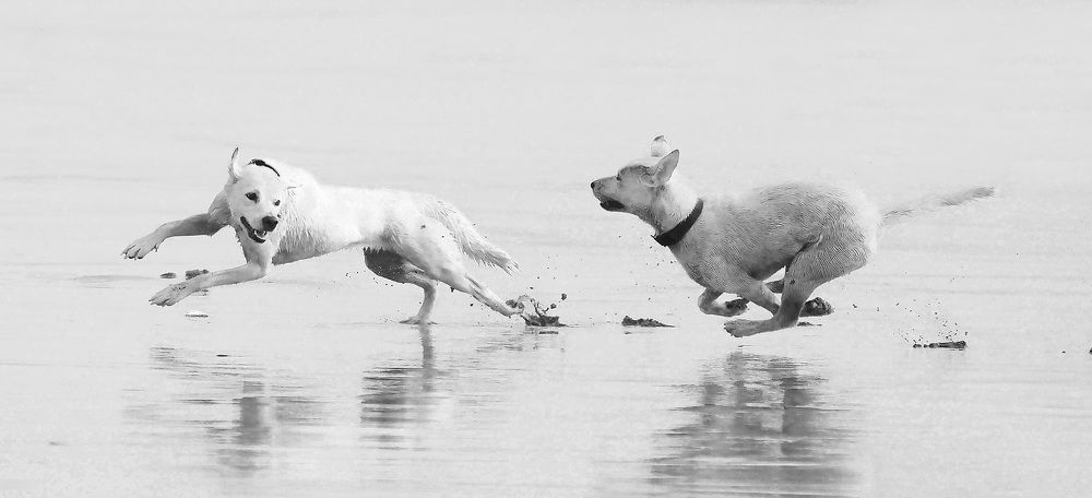 Photograph by Raed Victor Saad