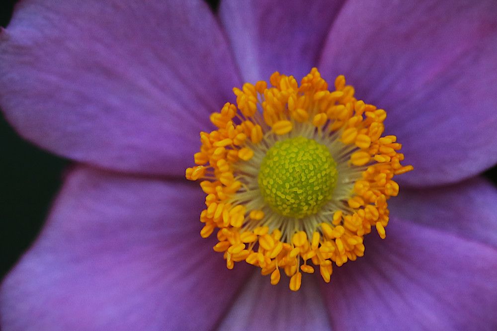 Photograph by Гагик Саркисян