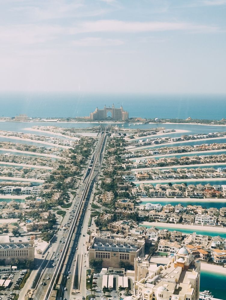 Фотография автора Brandon Pinto