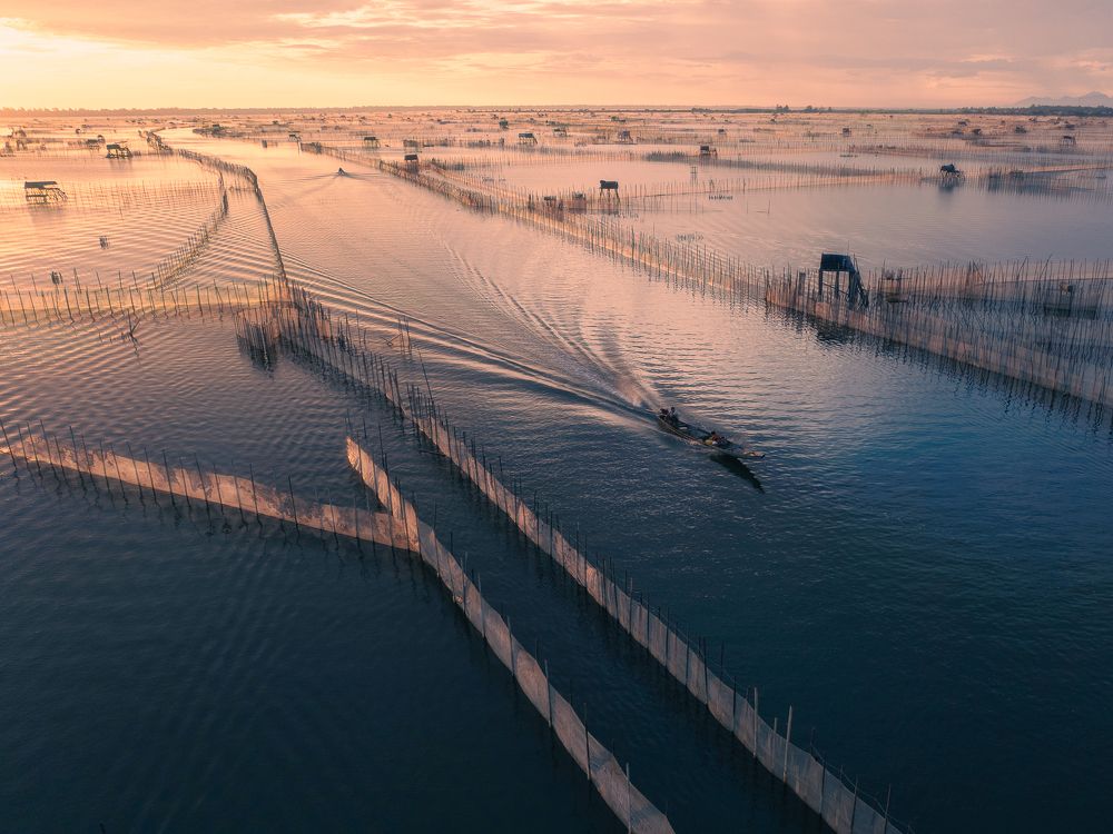 Photograph by Bao Nguyen