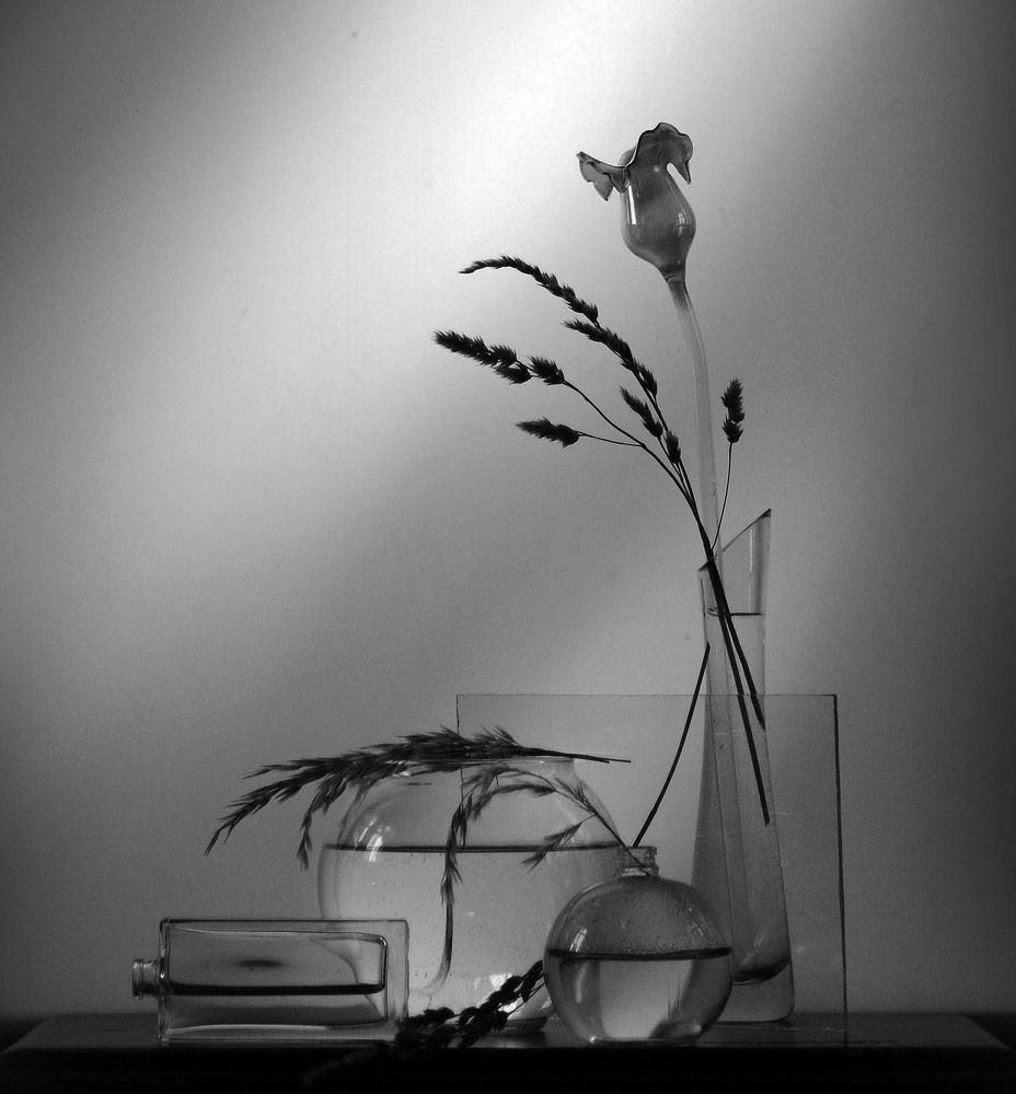 Photograph by 