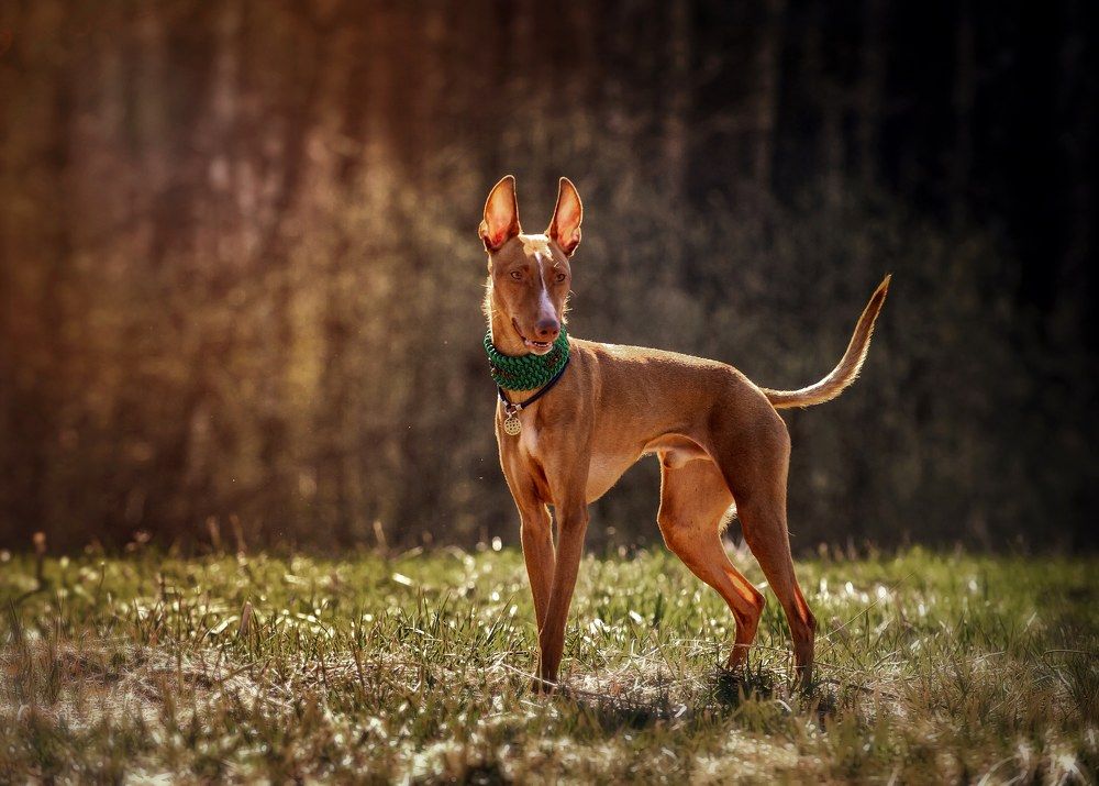 Photograph by Шулык Ольга Юрьевна