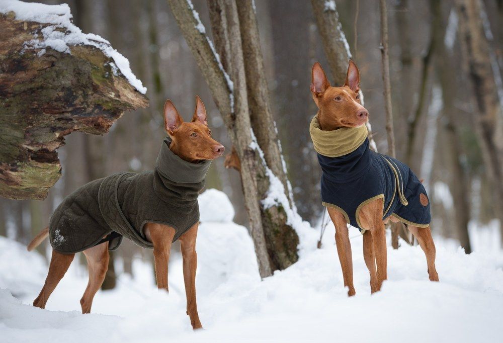 Photograph by Шулык Ольга Юрьевна