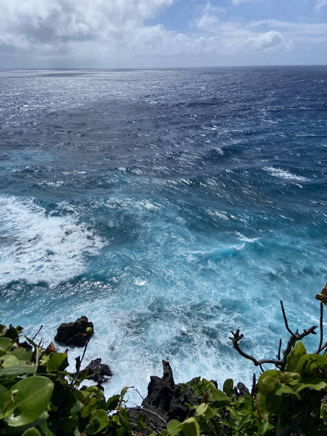 Photo #11053674