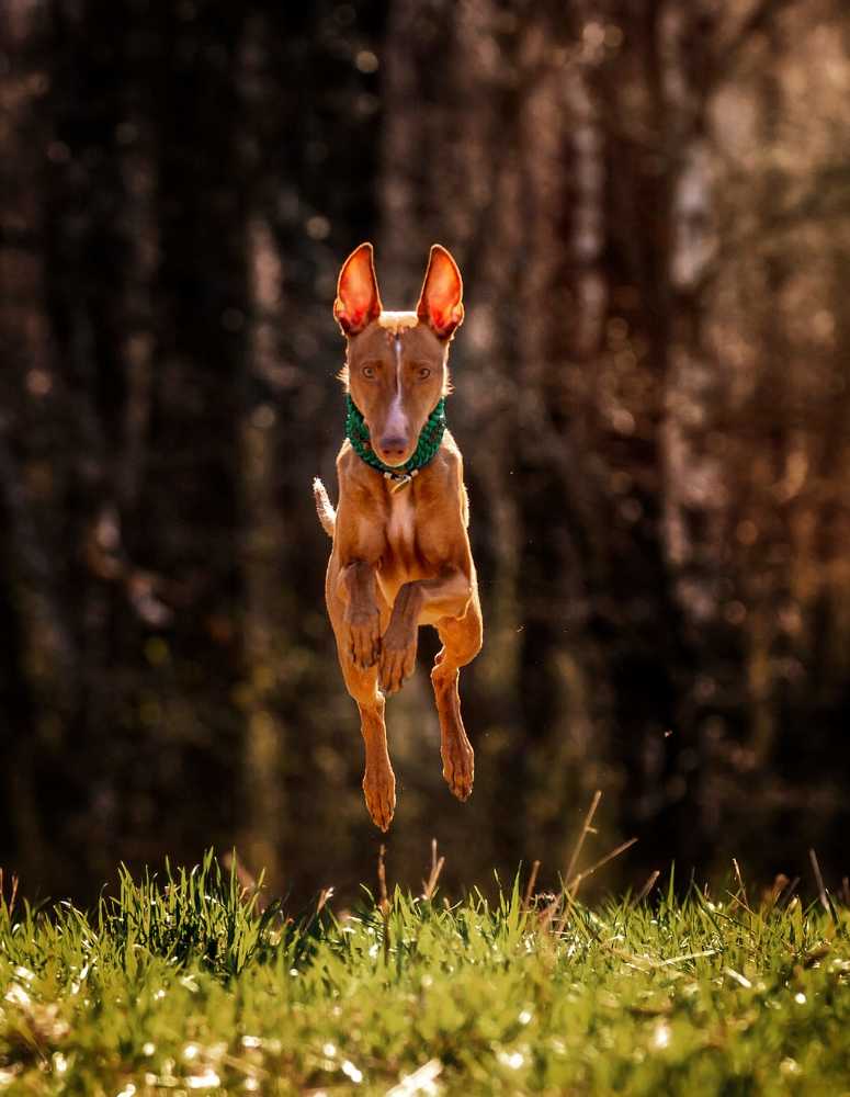 Photograph by Ольга